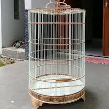 Kalau lomba sudah selesai, silakan lovebird konslet disatukan lagi dengan. Sangkar Burung Bulat Pvc D 55cm Murai Seukuran Rakit Sendiri Rt1832 Shopee Indonesia