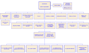 Dhs Organizational Chart Download Scientific Diagram