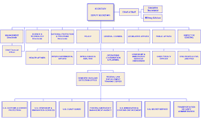 dhs organizational chart download scientific diagram