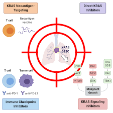 D boyd, dawn m macdonald, dawn m noll. The Improbable Targeted Therapy Kras As An Emerging Target In Non Small Cell Lung Cancer Nsclc Abstract Europe Pmc