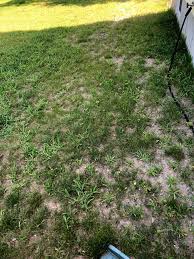 This method is not something you're going to be able to undertake on your own. New Home Hydroseeded Lawn End Of May The Lawn Forum