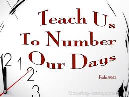 Holy bible, new international version®,. Grey Hair Wisdom Quotes Bible 25 Encouraging Bible Verses About Old Age Dogtrainingobedienceschool Com