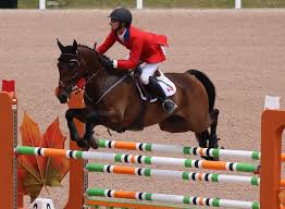 Do Canadians Need To Import Horses If They Want To Ride At Major Games Horses Sport Horse American Games