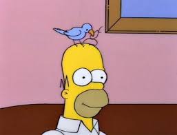 Cartoon Bird With Hair On Head Blue Bird Washing Homer S Hair Los Simpson Fotos De Homero Simpson Los Simpsons