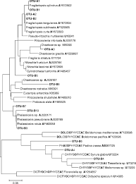 DNA as a Dietary Biomarker in Antarctic Krill, Euphausia superba