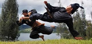 Tarung putri pencak silat kelas e 70 kg, atlet indonesia amelia roring vs malaysia siti rahmah, pertandingan final asian games 2011 tenggara. Munculnya Pencak Silat Di Tanah Air Pesantren Nuris Jember