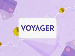 Each plan includes benefits for inpatient and outpatient medical coverage, emergency medical evacuation, accidental. Voyager Review Pros Cons And Who Should Set Up An Account
