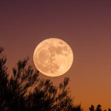 Phases de la lune 2021 & 2022. Pleine Lune Du 10 Janvier 2020 Et Eclipse Lunaire Ses Energies Et Son Mantra Femininbio