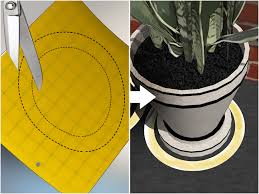 They literally destroy your house from the inside out by tunneling through the wood, especially where it's damp. 4 Ways To Remove Ants From Potted Plants Wikihow
