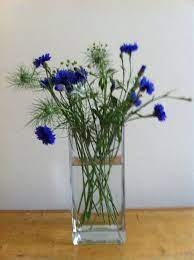 Cornflower Blue Boy Ammi Majus And Nigella Fiori