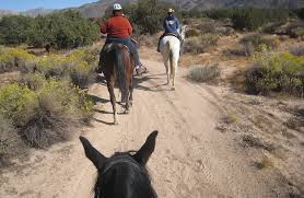 Mojave River Forks Regional Park Parks