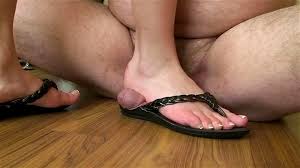trampling cock