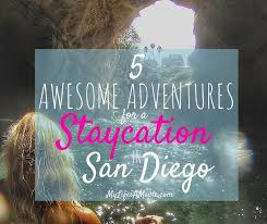 1 night in san diego ratings & reviews explanation. 5 Awesome San Diego Staycaytion Adventures My Life S A Movie
