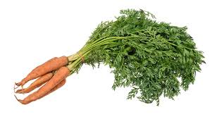 It can give you fresh and healthy fruits, vegetables and herbs it is necessary to get some knowledge about designing your garden. Carrot Wikipedia