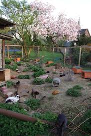 Nach Oben Offene Gehege Sichern In 2020 Kaninchengehege Kaninchen Freigehege Meerschweinchen Gehege