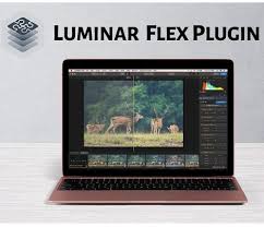 Luminar Flex For Mac Free Download Photo Editor For Mac Photo Editing Tools Download Adobe Photoshop