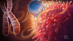 Image result for Hematologic Cancer