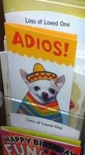 Adios Amigo Funny Funny Memes Haha Funny