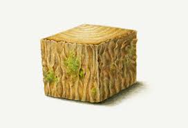 New video on my youtube channel! How To Draw Realistic Wood Grain Texture With Colored Pencils