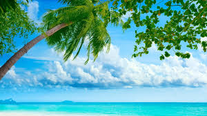 What should i put on my desktop for summer? Cool Summer Wallpapers Top Free Cool Summer Backgrounds Wallpaperaccess