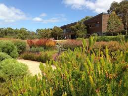 The key to garden zoning is using different textures, colours or materials to differentiate between the areas. Natives 3 Tips For A High Impact Australian Garden Janna Schreier Garden Design