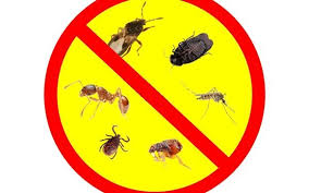 Termite examination is an important consideration for homeowners in port saint lucie, florida. Reynolds Pest Management Inc Port Saint Lucie Fl Alignable