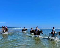 Image of Galveston Island State Park horseback riding