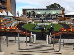 Over 40,000 square metres of space have been demolished, including the randwick pavilion and teahouse as well as the. Racecourse Architecture Royal Randwick Topics Randwick Racecourse Royal Randwick Looking Back Racecourse Architecture Thoroughbred Racing Commentary