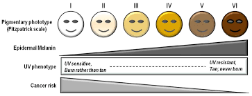 fitzpatrick scale wikipedia