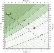 53 Veritable Domestic Shorthair Cat Weight Chart