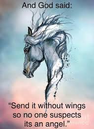 Two Feet Move Your Body Four Feet Move Your Soul Meaning Pin By Noreen Hart Kealer On Horse Art Horse Riding Quotes Horse Quotes All The Pretty Horses