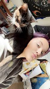 Missing pink collared cat in Waverly area