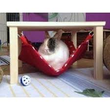 Hangemattengestell Mit 1 Grossen Hangematte F Kaninchen Diverse Muster Farben Zur Auswahl Lazzyys Kuschelshop Kaninchen Kaninchen Spielzeug Meerschweinchen