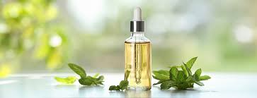 Image result for Peppermint Oil