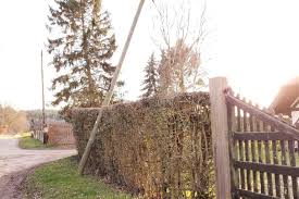 Raconter l'histoire de l'humanité sous la forme d'un roman. Emcfmlfvogxwm