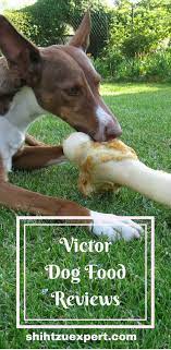 Victor Dog Food Reviews Ratings Recalls Coupons March 2021 Dogs Dog Food Reviews Dog Behavior