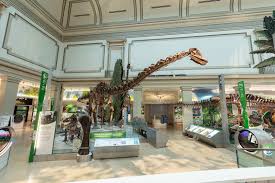 Inside The New Dinosaur Hall At The Smithsonian At The Smithsonian Smithsonian Magazine