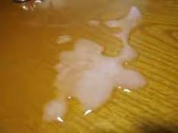 فوائد ماء الرجل المني