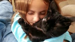 What good pet adoptions sound like