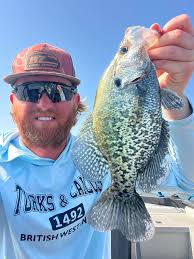 We have few days available next week 9th and 11th morning or afternoon for  crappie or whitebass catchin! The summer pattern is kicking off and the  bite is