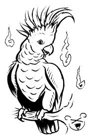 So come back every now and then on this page to discover new coloring pages that you can color online. Cockatoo Coloring Page Cockatoo Free Printable Coloring Pages Animals Animal Stencil Animal Coloring Pages Free Printable Coloring Sheets