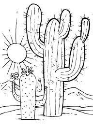 Great Cactus With Sunset Scenery Coloring Pages Coloring Books Coloring Pages Coloring Book Pages