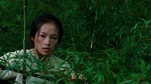 There is a sequence near the beginning of the film involving a chase over rooftops, and as the characters run up. Prime Video Crouching Tiger Hidden Dragon