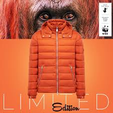 Protect The Orangutan From Deforestation Of Borneo And Sumatra Buy A Save The Duck From The Collection Fifty Colors Fifty Year Save The Duck Orangutan Borneo