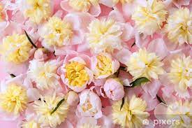 Check spelling or type a new query. Colorful Pink And Yellow Flowers Background Sticker Pixers We Live To Change