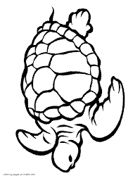 We did not find results for: Turtle Sea Animals Colouring Pages Coloring Pages Printable Com