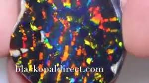 Black opal stones 14 x 13 x 4mm 5.35 carats auction #593697 opal auctions. The Best Harlequin Pattern Black Opal Ever Seen Http Blackopaldirect Com Youtube