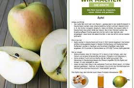 Sind sie jetzt schon reif? Niederrhein Jetzt Ist Apfel Erntezeit