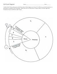 Start studying g1 phase (interphase). Cell Cycle Diagram