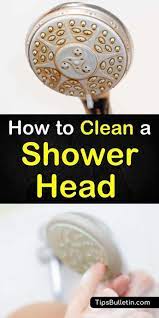 4 Reliable Ways To Clean A Shower Head Shower Heads Shower Cleaner Cleaning Hacks